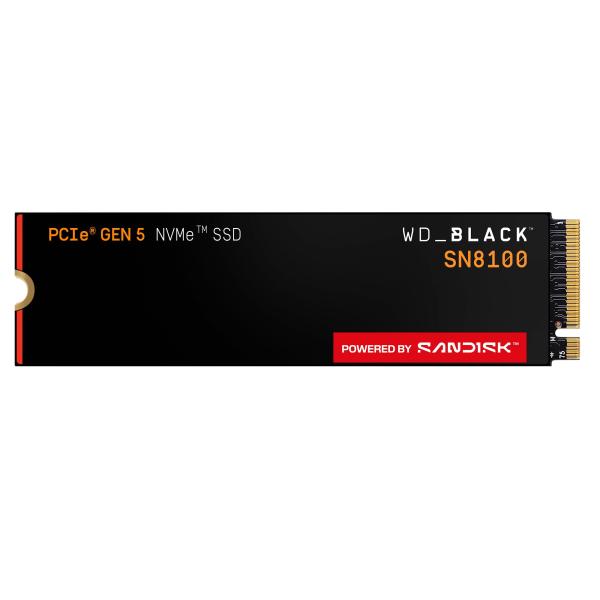 WDS100T1X0M